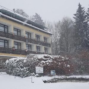 Panorama Hotel Pension Frohnau